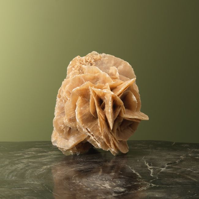 0037 Desert Rose