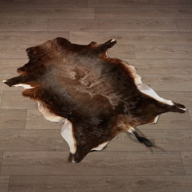 0000 Blesbok Hide