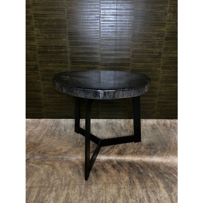 Smooth petrified wood table