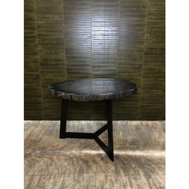 Rough petrified wood table