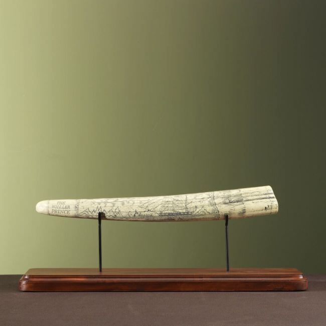 3039 Walrus Tusk Replica