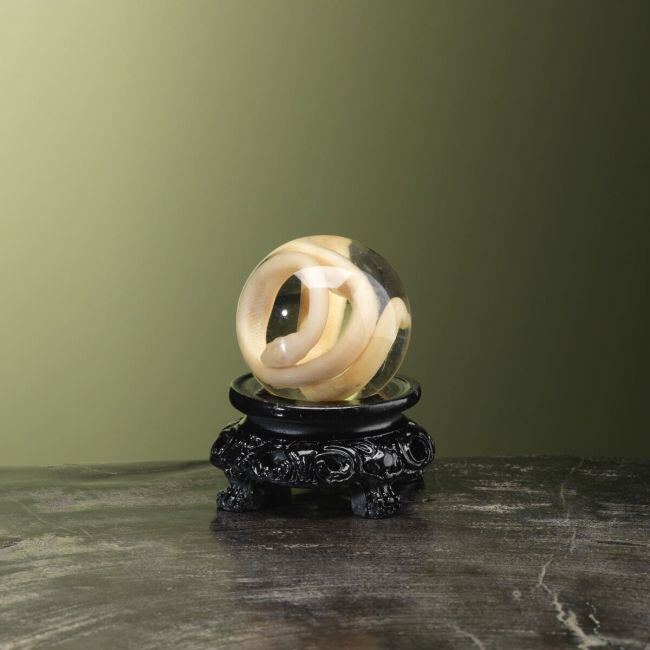 4467 Snake in Formaldehyde