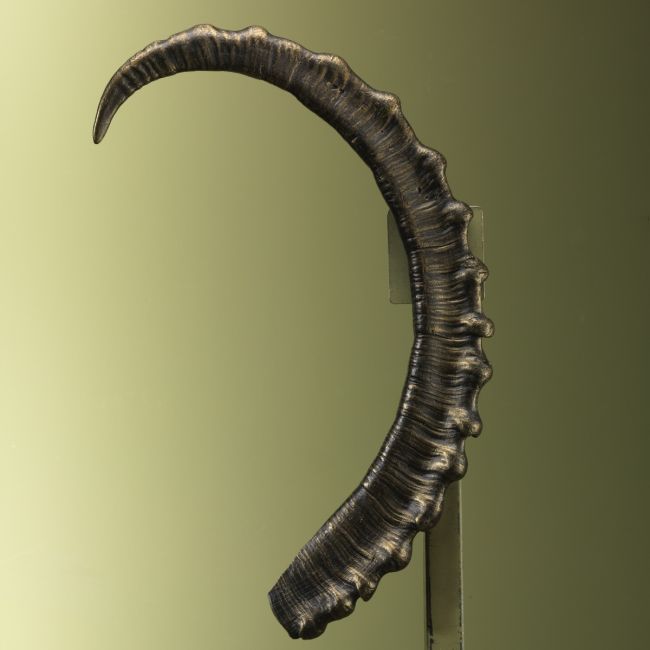 4982 Ibex Horn Replica