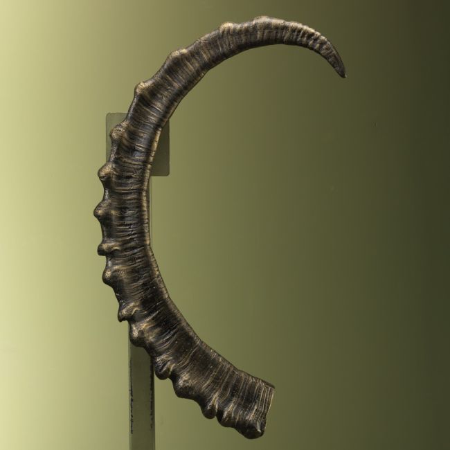 4983 Ibex Horn Replica