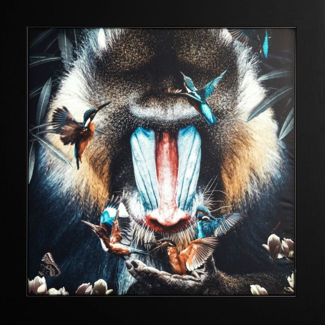 Light painting Mandrill