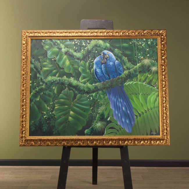 Painting Hyacinth Macaws Ekkachai