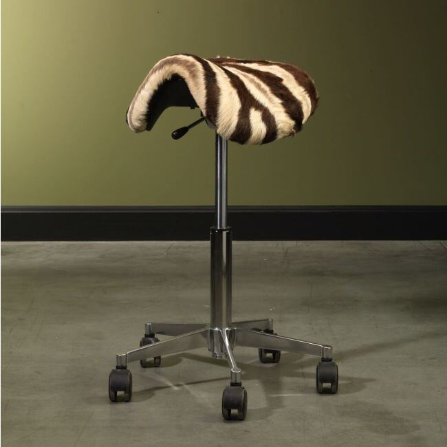 Saddle Seat Zebra 1