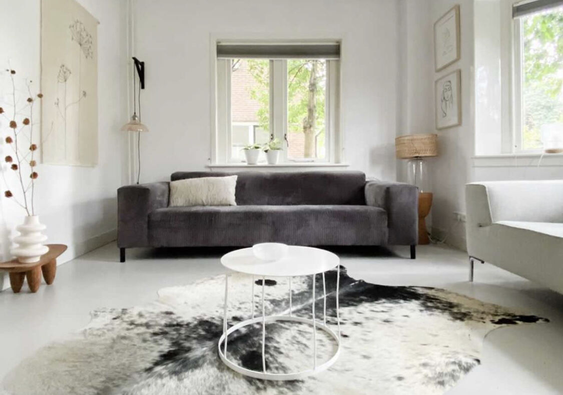 Cowhide Rug By Max