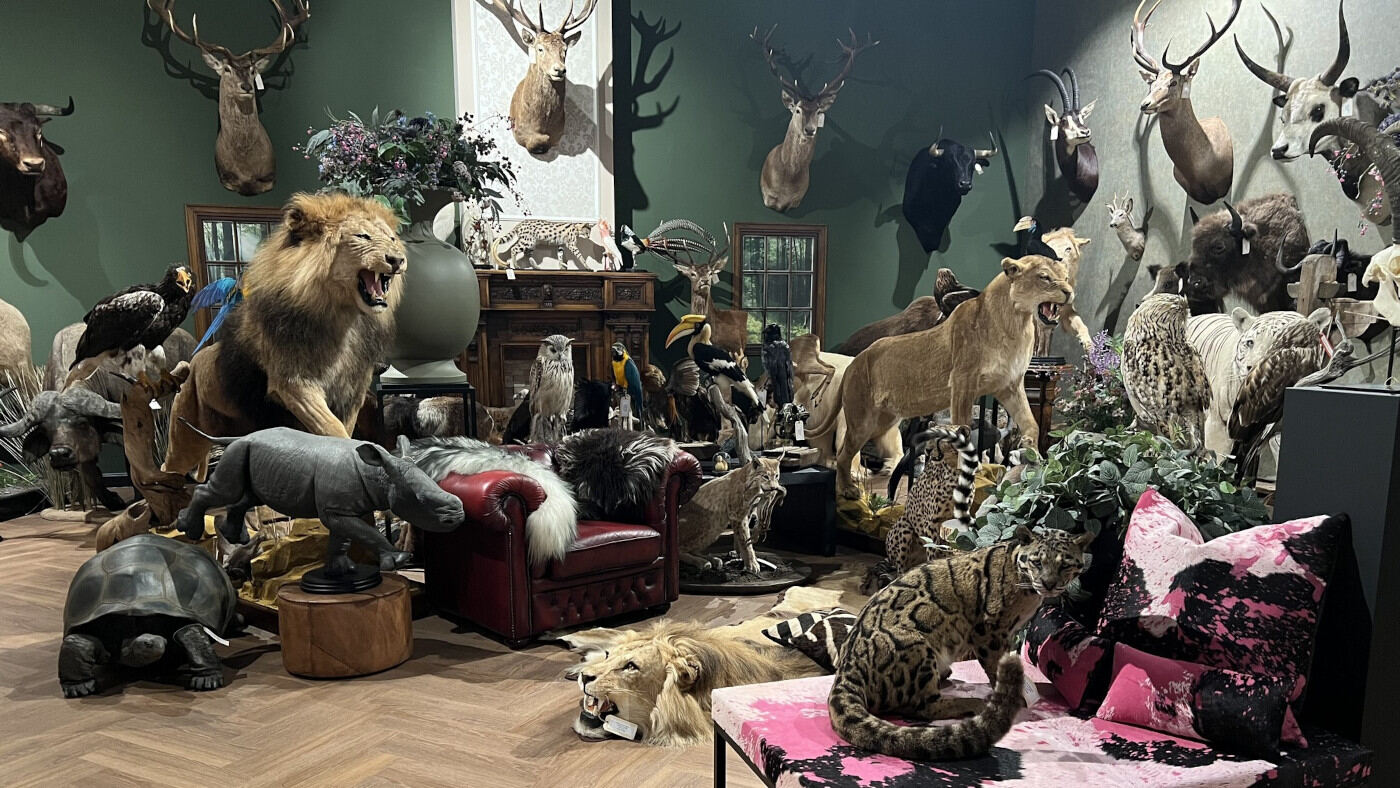 By Max Taxidermy Animals