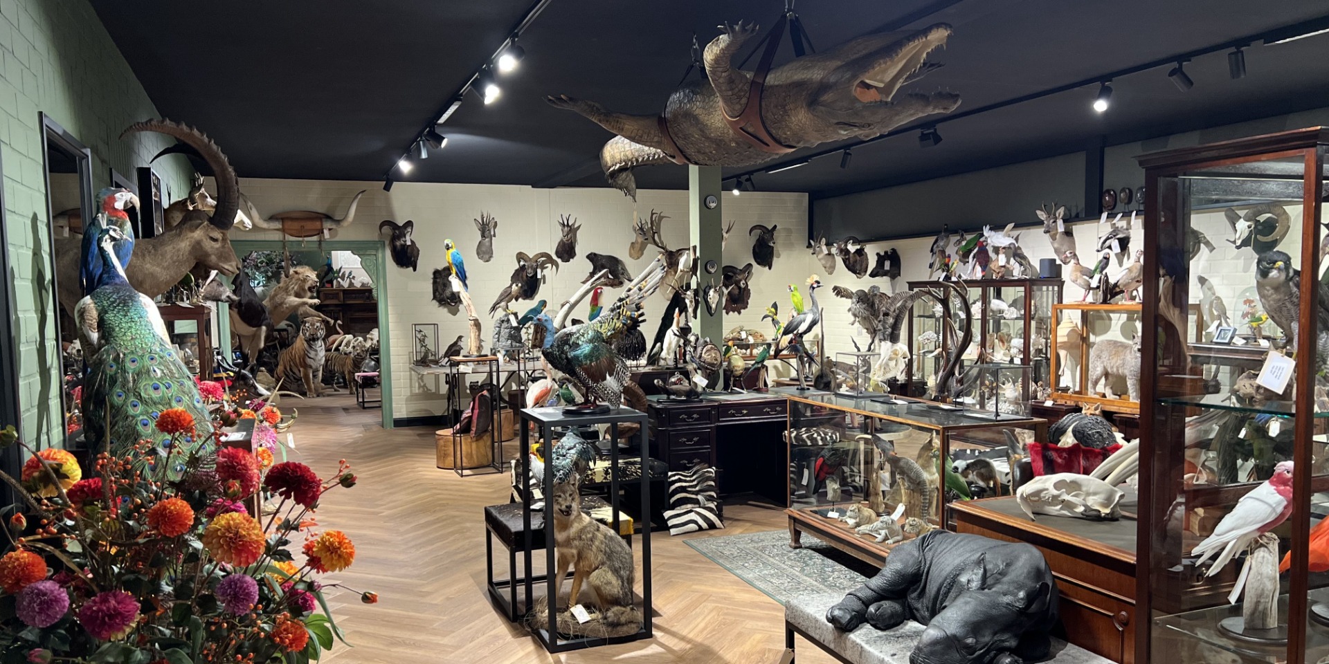 By Max showroom with unique taxidermy